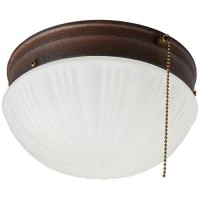 Westinghouse Lighting Sienna Corp 6720200 67202 2-Light Ceiling Fixture