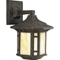 Progress Lighting P5628-46 1-Light Wall Lantern With Honey Art Glass And Mica Accent Panels, Weathered Bronze