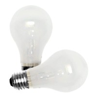 Bulb Lt 15W 120V Frstd