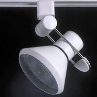 Cal Lighting JT220BODYBS Track Fixture 1600 inches Track Fixture from the Track Fixture 1600 inches