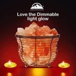 Himalayan Glow Natural Salt Lamp, 8-10 lbs, Dimmer Switch