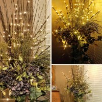 The Light Garden Wlwb96 Electric/Corded Willow Branch With 96 Incandescent Lights, 40 Inch