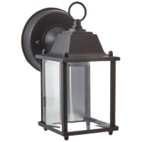 Trans Globe Lighting 40455 Bk Traditional One Wall Lantern Outdoor-Post-Lights, Black