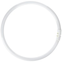 Prolume Bc9276 109084 - Fc40T5/835 Circular T5 Fluorescent Tube Light Bulb