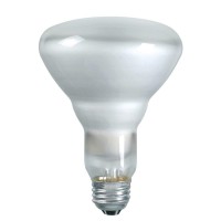 Philips 139279 Soft White 65-Watt Br40 Indoor Flood Light Bulb, 2-Pack