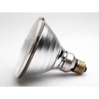 Philips 100 Watt, 120 Volt Par38 Clear Infrared Halogen Heat Lamp Bulb