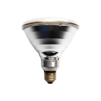 Philips 100 Watt, 120 Volt Par38 Clear Infrared Halogen Heat Lamp Bulb