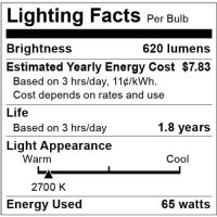 Satco Products S2817 120-Volt 65Br30 Flood Light Bulb, 2-Pack