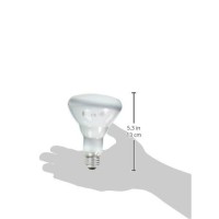 Sylvania Lighting Br30 65W 120-Volt Indoor Flood Bulb, 6-Pack