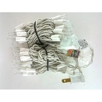 Everglow 2980-22 100 Clear White Wire Light Set