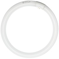 Ge Lighting Fc12 T9 Garage Basement Circline Fluorescent Light Bulb Cool White Finish 32Watt 1950 Lumen 12Inch Circular