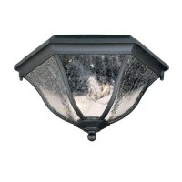 Acclaim 5615Bk Flush Mount Collection 2-Light Ceiling Mount Outdoor Light Fixture, Matte Black