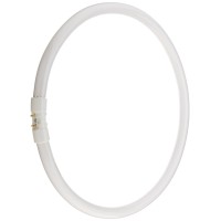 Bulbrite Fc12T5 841 12-Watt Circline Fluorescent T5 Bulb, 800 Series, 4100-Kelvin, 2Gx13 Base, 12-Inch Diameter