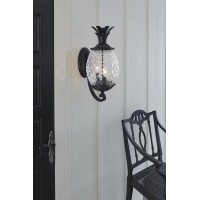 Acclaim 7511Bk Lanai Collection 3-Light Wall Mount Outdoor Light Fixture, Matte Black