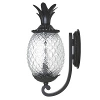 Acclaim 7501Bk Lanai Collection 2-Light Wall Mount Outdoor Light Fixture, Matte Black