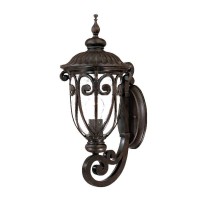 Acclaim 2101Mm Naples Collection 1-Light Wall Mount Outdoor Light Fixture, Marbleized Mahogany