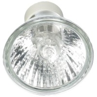 Plusrite 3462 35 Watt - Mr16 - Gu10 Base - Narrow Flood - 120 Volt - Halogen Light Bulb - H03510325302,