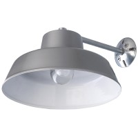 Canarm Bl14Cws All Weather 1-Bulb Ceiling Or Wall Mount All Weather Light With Clear Glass Globe, Grey Medium