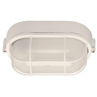 Canarm Iol16Wh The Outdoor 1-Bulb Flush Mount Exterior Light With Frosted Glass Globe, White