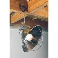 Woods Clamp Lamp With 10 Inch Reflector And Bulb Guard (300 Watt Bulb, 6 Foot Cord)