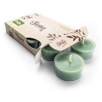 Bayberry Fir Premium Tealight Candles - Highly Scented With Essential Oils - 6 Green Tea Lights - Beautiful Candlelight - Made In The Usa - Christmas & Holiday Collection