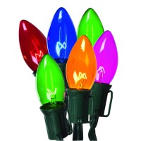 Celebrations C42U4211 C9 Light Set 25 Transparent 25 Multicolor Bulbs