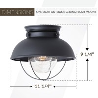 Sea Gull Lighting 8869-12 Sebring Transitional One-Light Outdoor Ceiling Flush Mount Outside Fixture, Black Finish