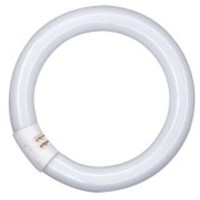 Osram Fluorescent Tube / Lumilux T9 C / G10Q-Socket / 22 Watt / Cold-White / 4000K