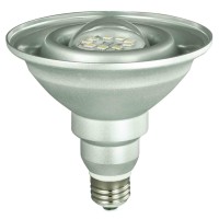 Lights Of America 2103Ledp38-30K 11-Watt Power Led Par38 Bulb, Warm White