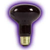 Zilla Incandescent Spot Bulbs Night Black 100 Watts