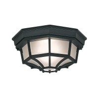 Designers Fountain 2067-Bk Builder Cast Aluminum Family 1-Light Exterior Flush Mount, Black Finish With Frosted Glass