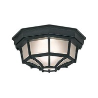 Designers Fountain 2067-Bk Builder Cast Aluminum Family 1-Light Exterior Flush Mount, Black Finish With Frosted Glass