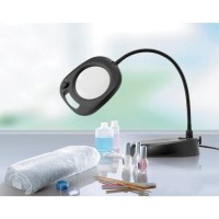 Daylight Company Llc Un1081 Magnifier Lamp