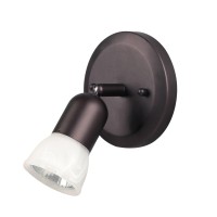 Canarm Ltd. Icw356A01Orb10 James 1 Bulb Ceiling/Wall Light, Oil Rubbed Bronze