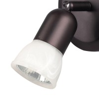 Canarm Ltd. Icw356A01Orb10 James 1 Bulb Ceiling/Wall Light, Oil Rubbed Bronze