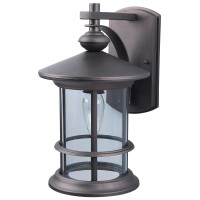 Canarm Iol124Orb Treehouse Outdoor Lantern, Oil Rubbed Bronze