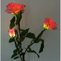 Solaration™ Solar Pink Rose Flower Lights Outdoor Decorative Lights Year-Round, Great Gift!