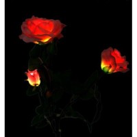 Solaration™ Solar Pink Rose Flower Lights Outdoor Decorative Lights Year-Round, Great Gift!