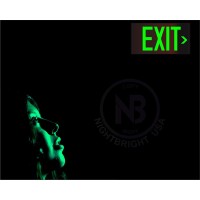 Photoluminescent Exit Sign Red - Aluminum - Ul 924 Code Approved/Ibc/Nfpa 101 | Nightbright Usa Part Number Ulr-050