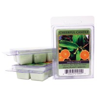 A Cheerful Giver 8Count Juicy Apple Candle Melts Bright and cheery apples are accented with peach cinnamon and clove in this crisp autumn scent This is our tried and true bestselling scent These highly fragranced melts will fill your room with as they mel