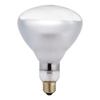 Philips Heat Lamp R40 Flood Light Bulb: 250-Watt, Medium Screw Base