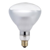 Philips Heat Lamp R40 Flood Light Bulb: 250-Watt, Medium Screw Base