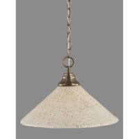 Chain Hung Pendant Shown In Brushed Nickel Finish With 16