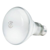 Philips Duramax Indoor Dimmable Br40 Flood Light Bulb: 2740-Kelvin, 65-Watt, Medium Screw Base, Warm White