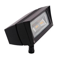 Rab Lighting Ffled18Dc Future Flood 18W Cool Led Lamp, 12V 24V Dc, Bronze