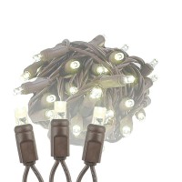 Novelty Lights 50 Light Led Christmas Mini Light Set Outdoor Lighting Party Patio String Lights Warm White Brown Wire 25 Fee