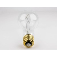 Bulbrite Incandescent A23 Medium Screw Base (E26) Light Bulb, 200 Watt, Clear