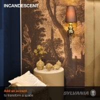 Sylvania Incandescent D