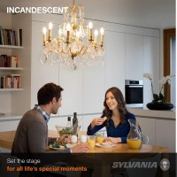 Sylvania Incandescent D