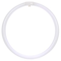 Sunlite 05023 Fc16T9/Ww T9 Round Fluorescent Circline Lamp, 40 Watts, 2600 Lumens, 2700K Soft White, Rohs Compliant, G10Q 4-Pin Base, 1 Pack